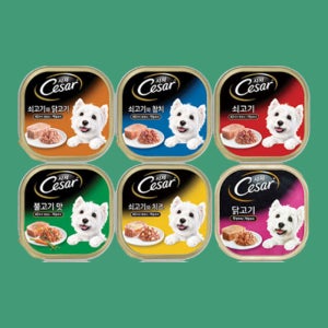 시저 캔 강아지 습식캔 베스트 6종콤보, 100g, 6개