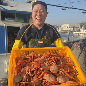 산지직송 포항 구룡포 제철 대게 홍게 붉은 박달 연지홍게