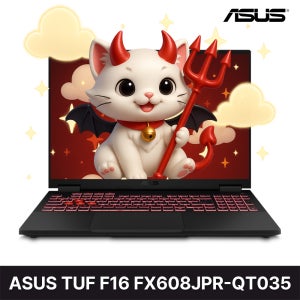 ASUS TUF F16 FX608JPR-QT035 (64GB/1TB) / rion