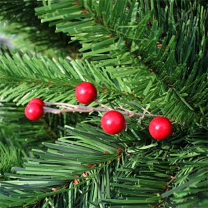 일상다많사 150cm 열매 트리 유치원 어린이집