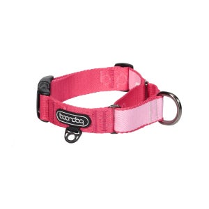 분독 오리지널 마틴게일 목줄 XS