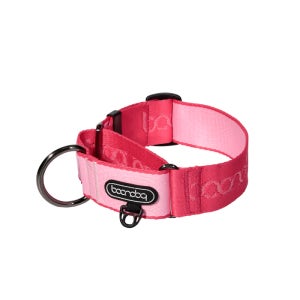 분독 마틴게일 와이드 목줄 M