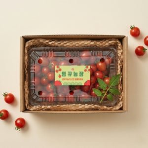영뀨농장 대추방울토마토 당도선별 산지직송 4kg, 5개