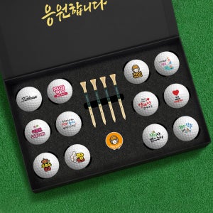골프공 선물 세트 인쇄 제작 홀인원 기념볼 타이틀리스트 PRO V1 프리미엄 12구 6호