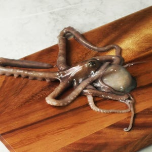 오늘잡은 소낙지 5마리 목포 산낙지 무안 낙지 신안 뻘낙지 볶음 소, 50g, 5개