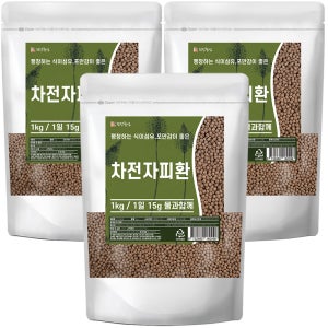 차전자피환 1kg, 3개