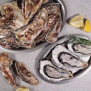 통영 각굴 석화 찜 하프셀 반각굴 삼배체 하프쉘