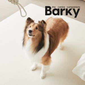 Barky 바키 프리미엄 반려동물 애견 강아지 고양이 미끄럼방지 매트 230X140CM