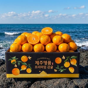제주 고당도 타이백 감귤 10kg 5kg 3kg 홍매향 불로초 효돈 조생 타이벡 노지 귤