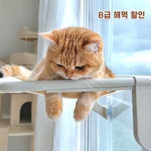 [B급] 오르펫 B급 고양이해먹 창문해먹 창틀 침대 캣타워