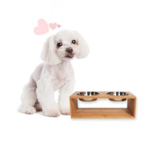 건강한 밥먹는자세 소화잘되는 펫식기 물그릇 강아지밥그릇