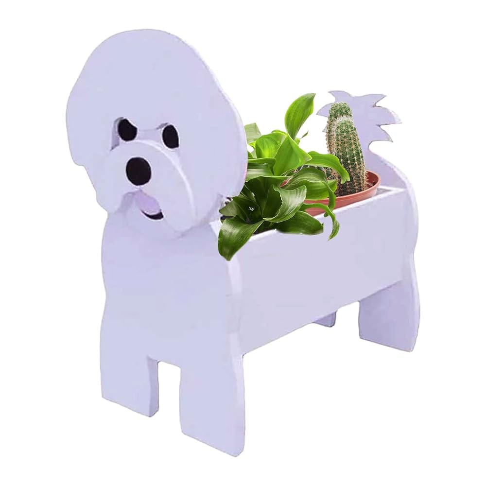 비숑 프리제 (Bichon Frise)