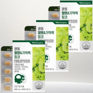 손발저림 혈액순환 기억력 감퇴에 좋은 은행잎추출물 진코민 징코빌로바 영양제 약 6개월분