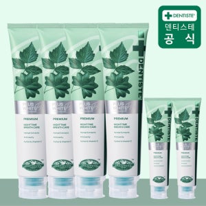 신제품 덴티스테 뉴플러스화이트 프로 불소치약 여행용20g+20g프로 160g, 4개