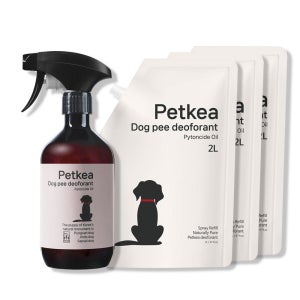 펫케아 강아지 탈취제 피톤치드 천연 탈취제 오줌 소변 냄새제거 +공병 6L, 1개