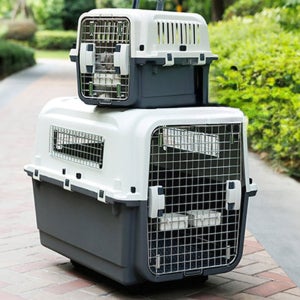 대형견 켄넬 강아지 케이지 캐리어 애견 켄넬 이동장 자이언트 750