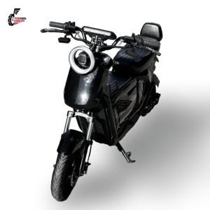 타이탄 PTX-1000 전동스쿠터 1500W 고출력 48V 25Ah 50Ah 분리형배터리