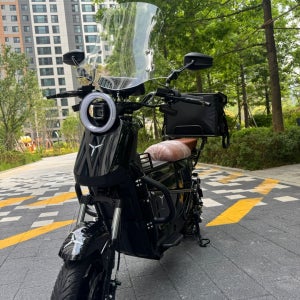 타이탄 전기 전동스쿠터 PTX1000 1500W 48V 25Ah 50Ah 분리형배터리