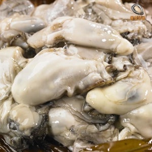 통영굴 통영생굴 당일조업 세척 산지직송 깐굴 10kg, 1개