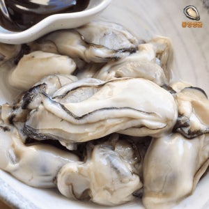 [탱글탱글 햇굴] 통영 생굴 당일조업 세척 산지직송 10kg, 1개