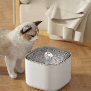 반려동물 자동 급수기 3L 고양이 강아지 정수기