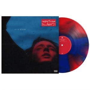 트로이 시반 In A Dream LP 5주년 기념 한정판 Red Blue Swirl 바이닐