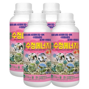 [수정결실착과제] 융전 수정에너지골드 냉서리 피해방지 비료 식물영양제 1L, 4개입