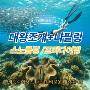 보홀 나팔링 + 대왕조개 단독투어 정어리 스노쿨링 프리다이빙 /픽드랍 스노쿨장비 고프로촬영