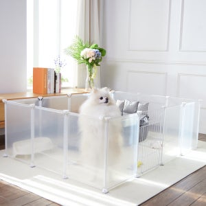 강아지 울타리 투명 애견 반려견 펜스 대형 논슬립 안전문 온누안