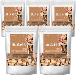국내산 건표고버섯 말린 표고버섯 300g, 5개
