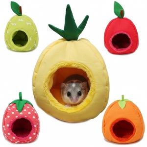 피그미 다람쥐 과일모양 은신처 포치 (체인/자석포함)