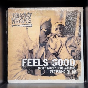 Naughty By Nature - Feels Good / Rah Rah LP