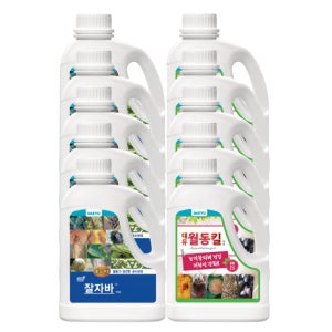 [월동기필수] 대유 잘자바 월동킬 천연오일 유황 병해균 과수관리 2L, 10개입