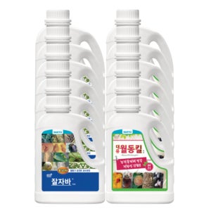 [월동기필수] 대유 잘자바 월동킬 천연오일 유황 병해균 과수관리 2L, 12개입