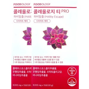 푸드올로지 콜레올로지 티 프로 PRO 8,000mg x 15포 x 2박스 30일분