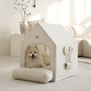 초코펫하우스 사계절 강아지집 에브리데이하우스 3.0 특대형