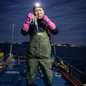 무안 신안 뻘낙지 목포 세발낙지 전남 생낙지 싱싱낙지 국산 산낙지