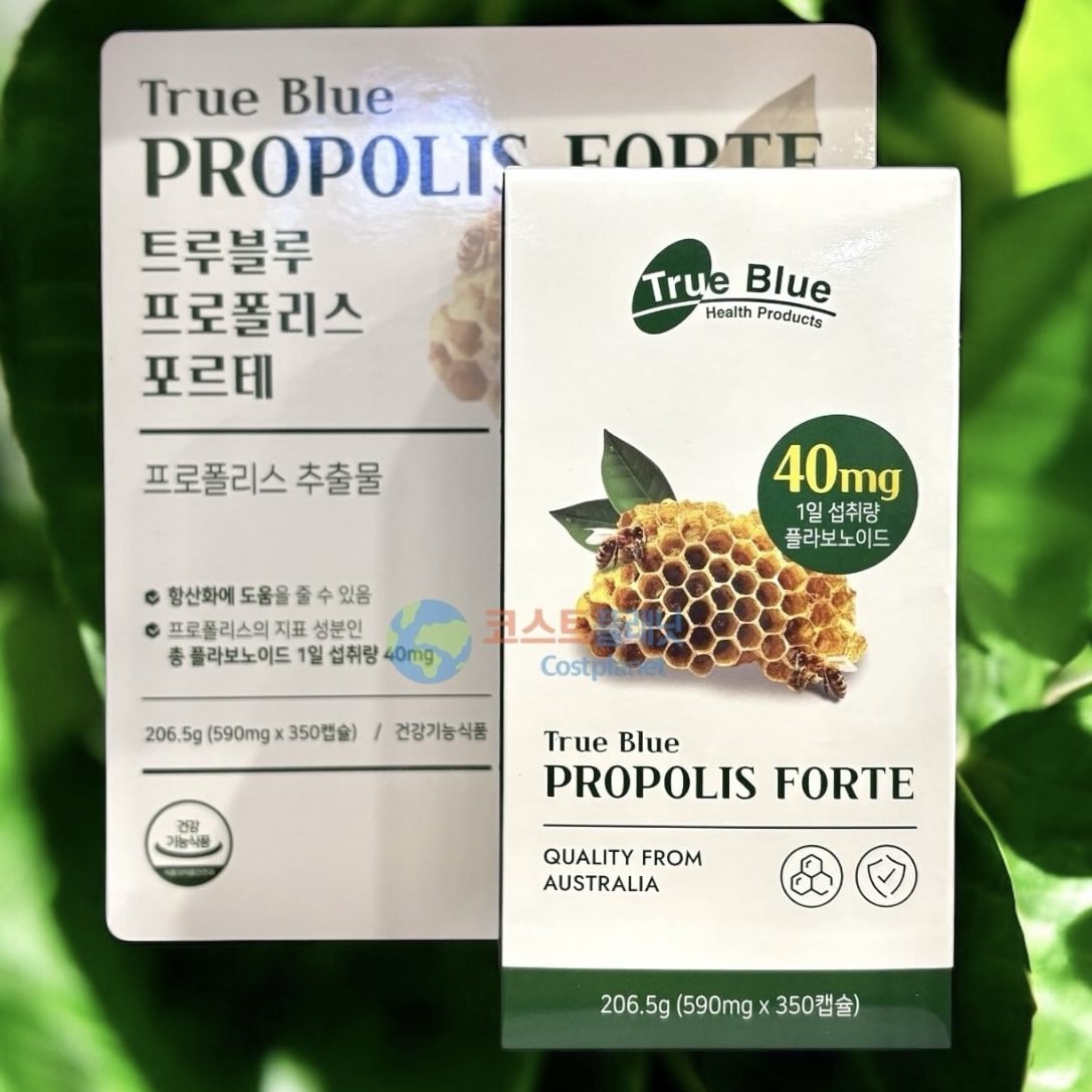 트루블루 프로폴리스 포르테 590mgx350캡슐 코스트코