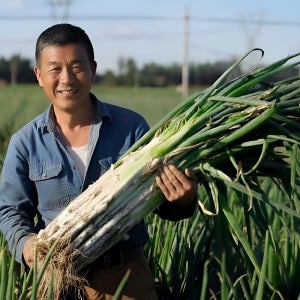 국내산 노지 흙대파 진도 신안 보성 해풍맞은 대파