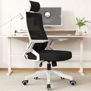 헤르티만 허리 편한 사무용 의자 컴퓨터 학생 메쉬 의자 화이트+블랙
