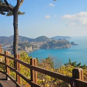 욕지도1일(일주버스포함) 중앙시장 중식1회 최소출발 5명기준요금