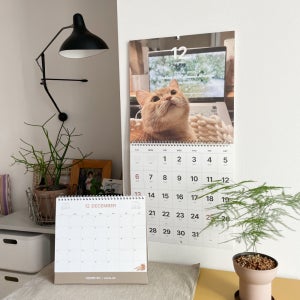 루카랩x이웃집고양이 덕배 2026 탁상형 벽 캘린더 달력