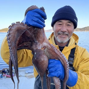 산지직송 돌문어 통영 문어숙회 해산물 3kg, 1개