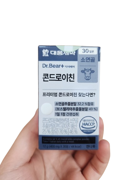 콘도로이친 소<b>연골</b> 소 콘드로이친