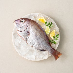 반건조참돔 도미 제수용생선 자연산 480g, 5개
