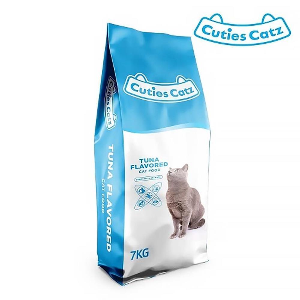 Bengal Cat (뱅갈 고양이)