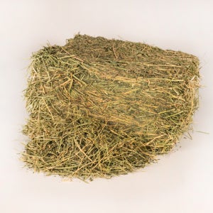 [연한 잎새가득] 압축 알팔파 건초 5kg (미국 프리미엄)