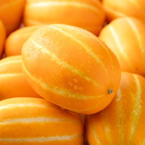 고당도 성주 참외 대과 4.5kg, 1개