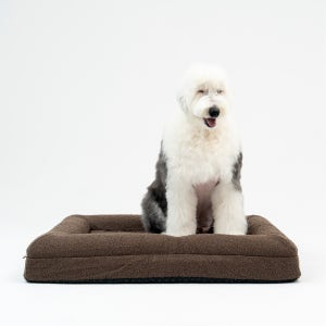 와루 강아지방석 강아지침대 대형견 고양이 애견 쿠션 베드 부클레 커버분리 L XL