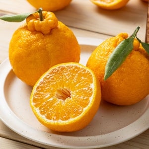 제주 산지직송 한라봉 2kg 3kg